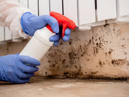 Biohazard Mold Removal in Henrietta, TX